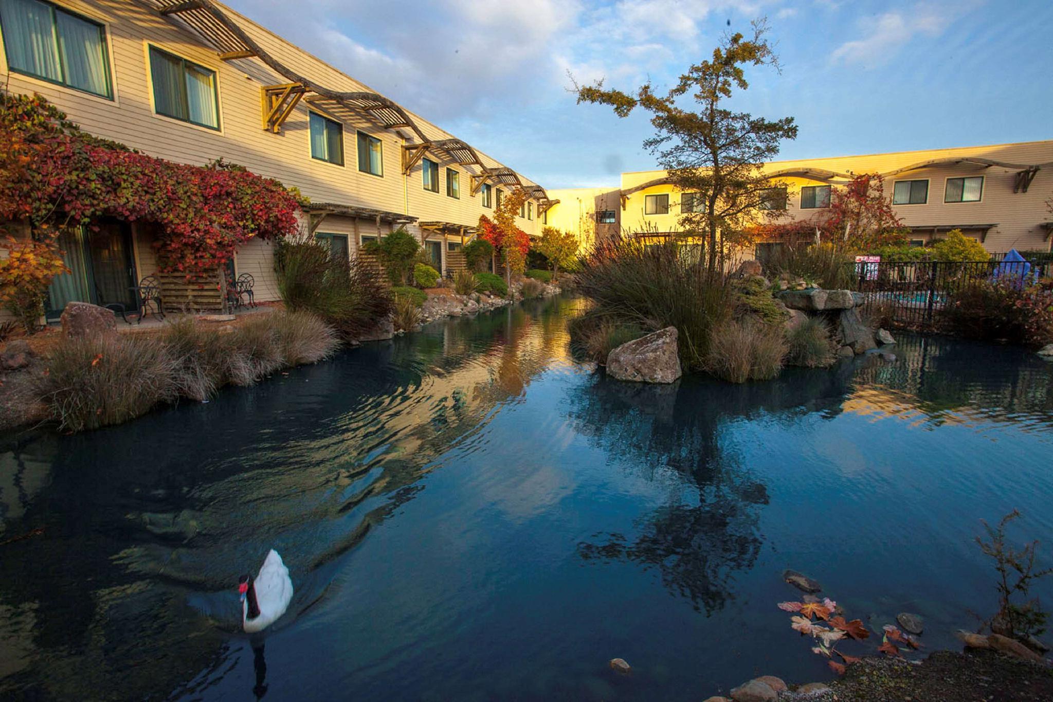 Doubletree By Hilton Napa Valley - Американ-Каньон Экстерьер фото