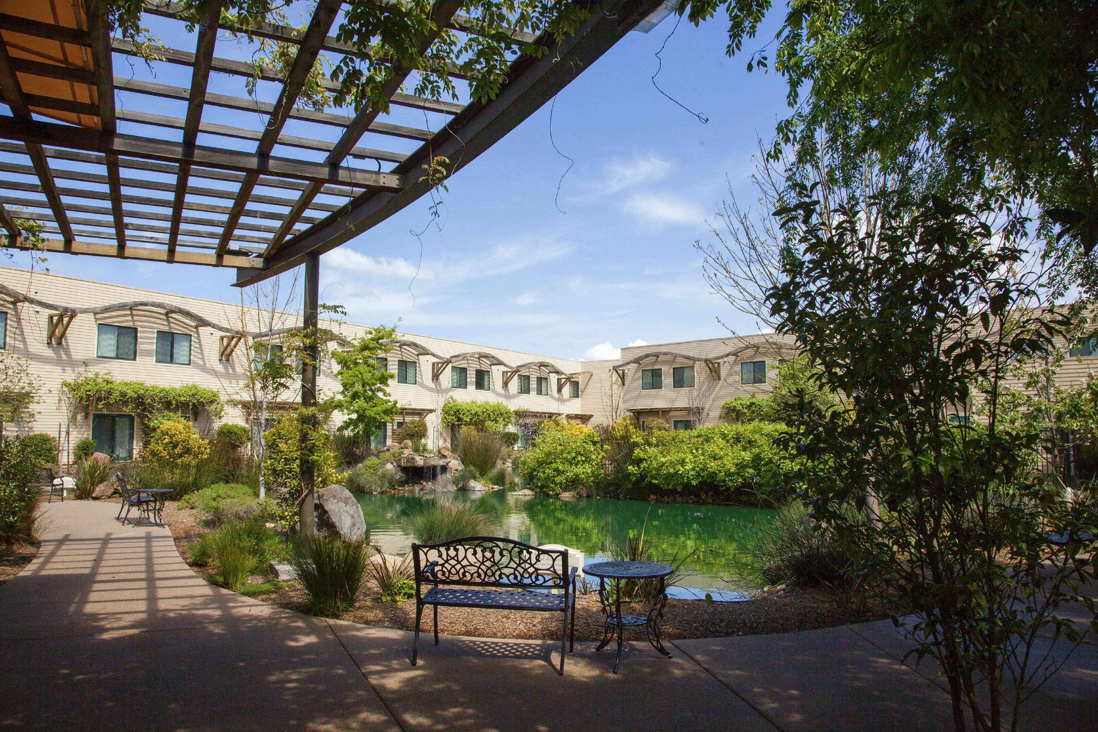 Doubletree By Hilton Napa Valley - Американ-Каньон Экстерьер фото